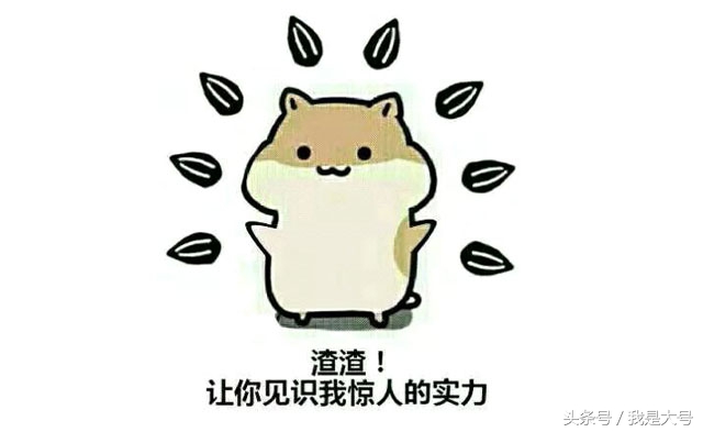 植物转基因技术流程,转基因技术的迅猛发展