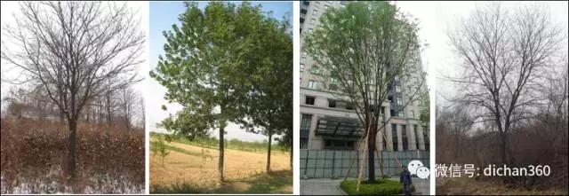 涓囩浜戠繝闅愮宸ヨ壓宸ユ硶,涓囩绮捐宸ヨ壓宸ユ硶