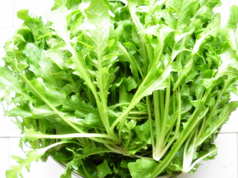 孕妇不可以吃的蔬菜,孕妇禁吃十大蔬菜排名