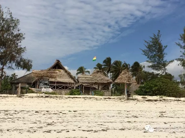 一生必去一次的非洲坦桑尼亚｜回归狂野