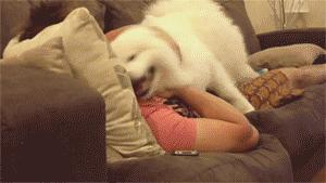 姚晨与月嫂,姚晨写给月嫂的感谢信