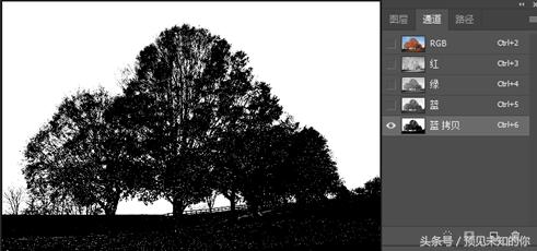 零基础ps抠图换背景详细步骤,ps局部换背景图片教程