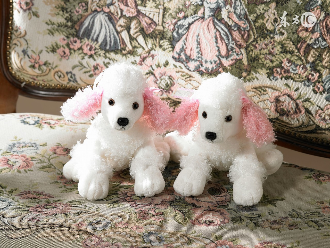 生肖狗的人怎么挡烂桃花,生肖狗桃花星