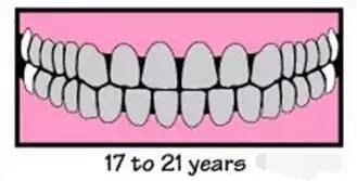 小孩子换的牙齿为什么越来越丑,小孩换的新牙又掉了怎么办