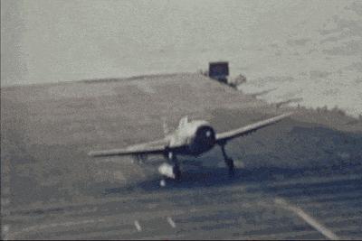 不是每个司机都有好的人品,不是每个司机都是好司机