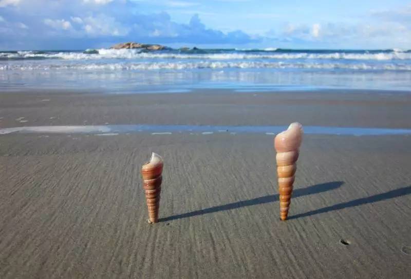 广东最好玩的海边排名,广东最好玩的免费海滩前十名