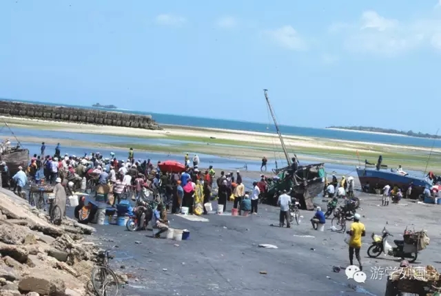 一生必去一次的非洲坦桑尼亚｜回归狂野