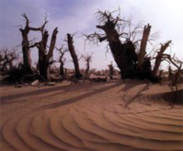 充满回忆的景点,只能在回忆里完整