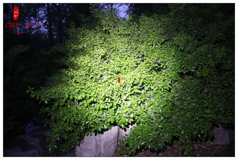 不止于斯-奈特科尔MT06MDEDC手电