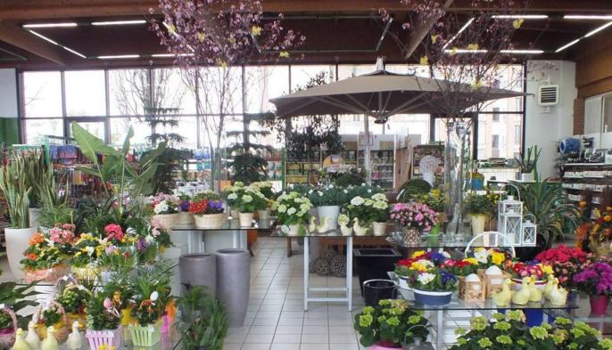 甜品鲜花店装修,鲜花店比较流行的装修风格