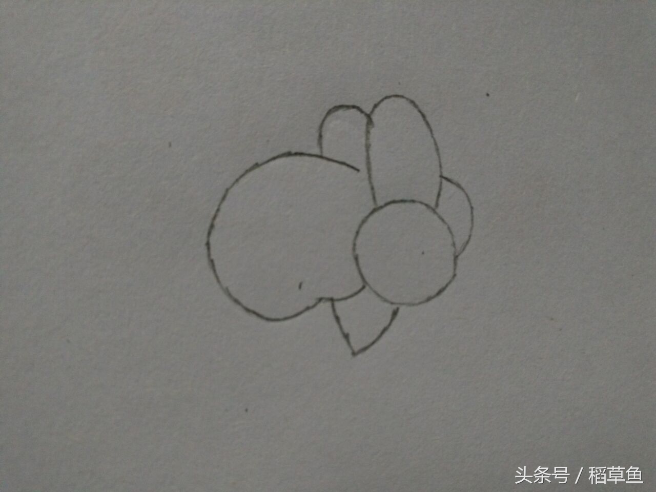 12生肖完整图片马的简笔画,12生肖中的狗简笔画怎么画