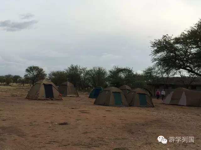 一生必去一次的非洲坦桑尼亚｜回归狂野