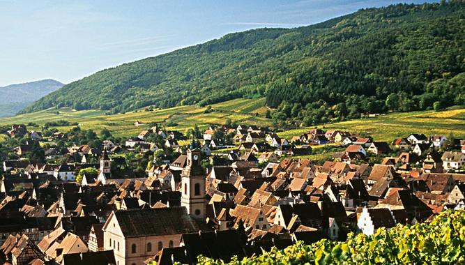 皎洁的月光下的影子,皎洁的月光影子