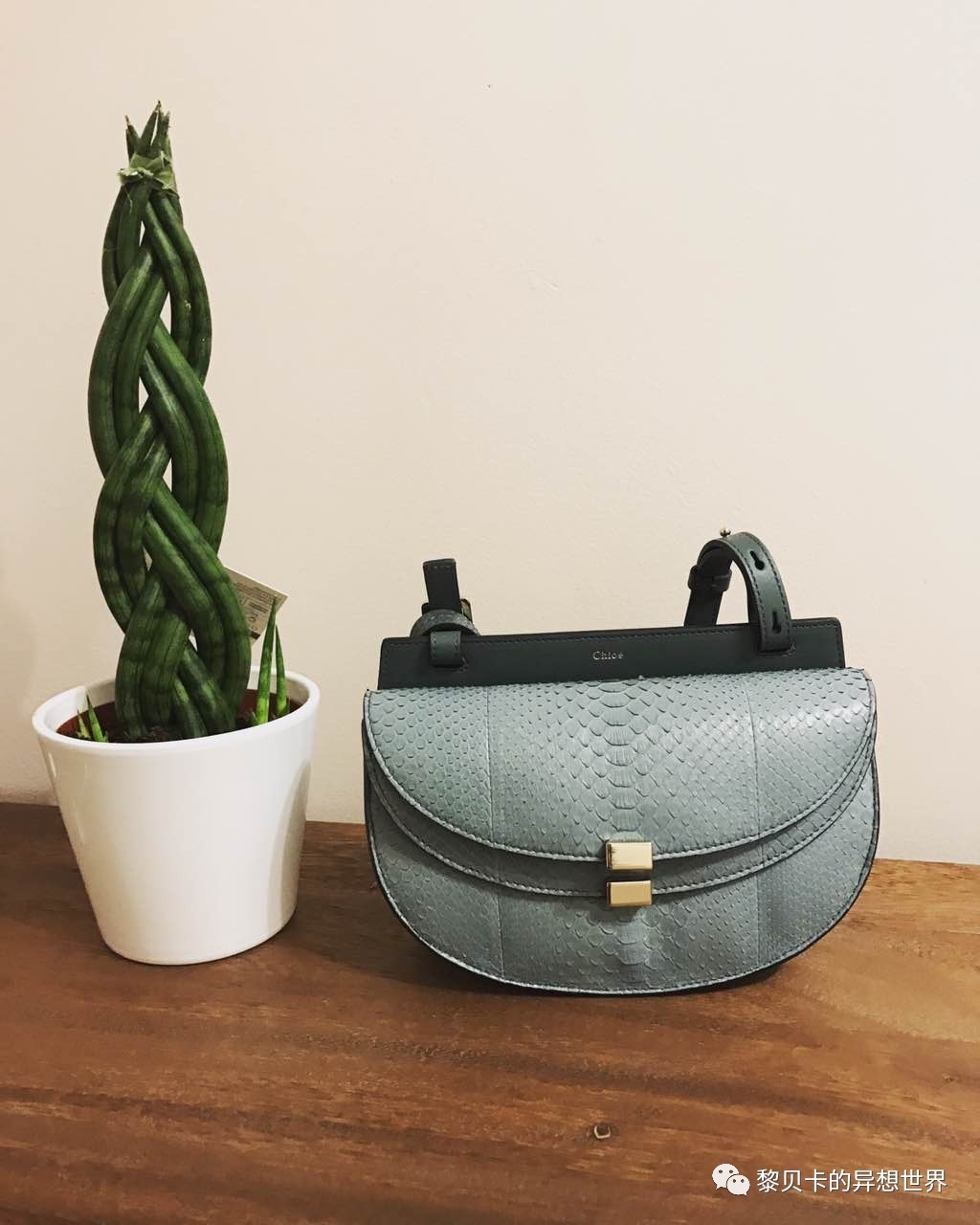 不想出门一出门就烦,不想出去但一出去就很嗨