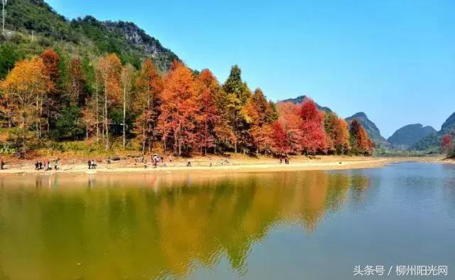 柳江区哪个镇最好,柳江区有好的发展吗