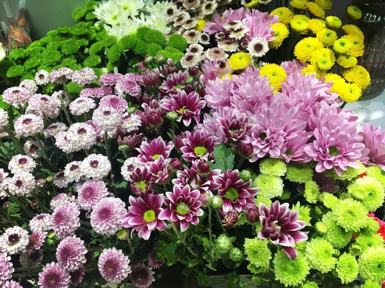 北新桥卤煮老店六里桥店怎么样,北京北新桥卤煮哪家正宗