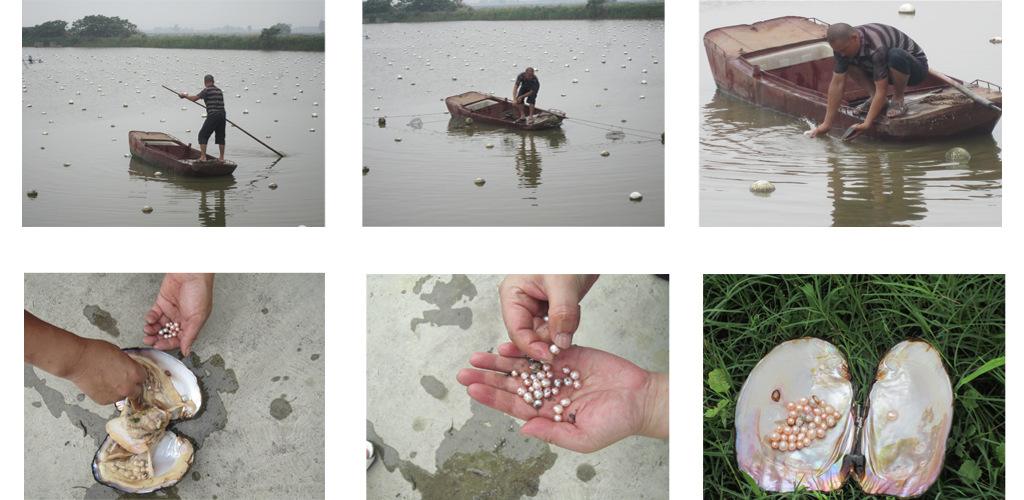 你在海边捡到过什么宝贝,你在海边捡到过什么东西