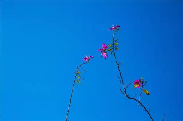 香港tvb的发展历程,香港tvb怀旧之旅