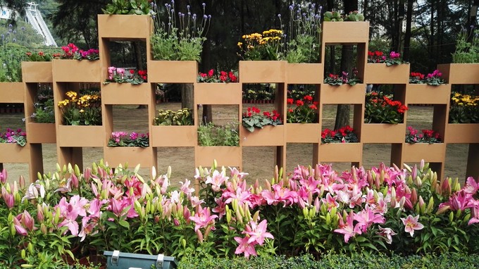 澳门一日游最佳方案,澳门免费巴士景点一日游