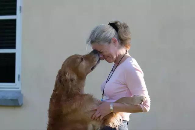 家里狗狗喜欢舔人,家里的狗狗爱乱拉屎怎么办