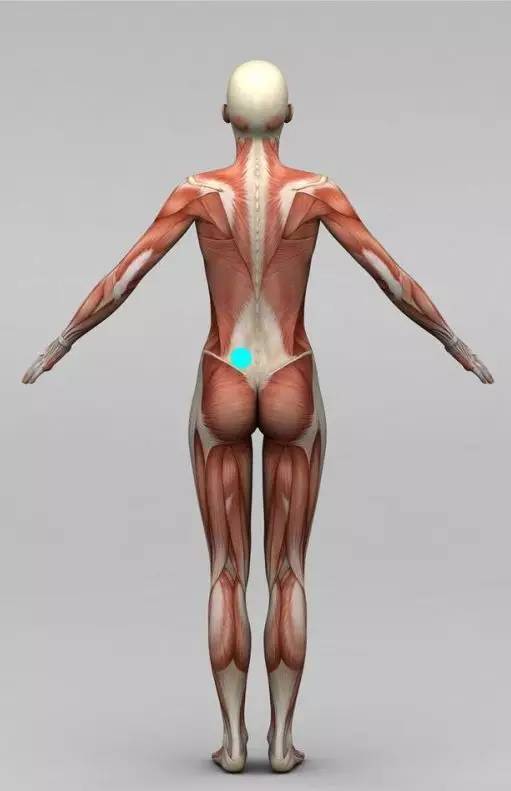 打完球脚踝和足弓疼,打完球足弓疼痛是不是扁平足