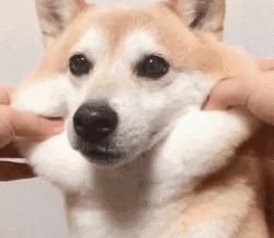 瘦脸针到底有多大效果,瘦脸霜能瘦脸真的有效吗