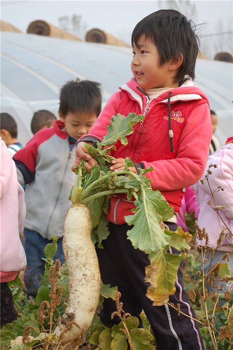 一家有自己农场的幼儿园，关于教育的思考（一）
