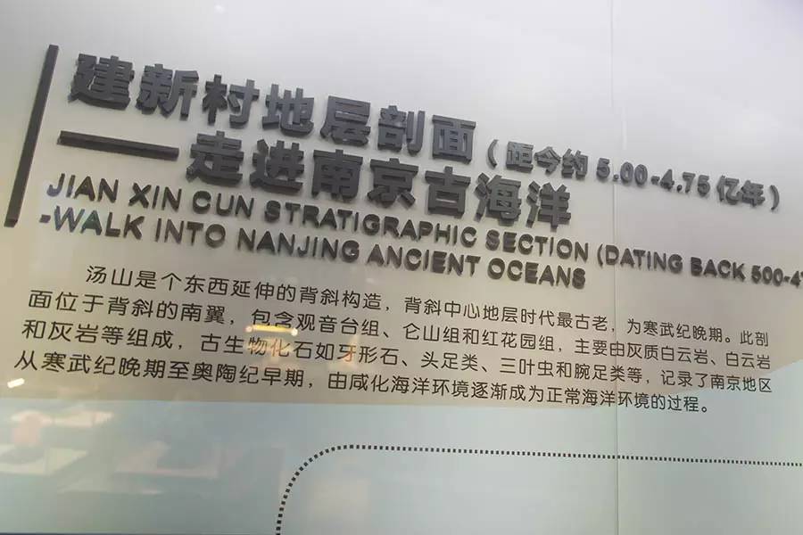 探寻人类的起源之谜,探寻人类祖先的奥秘