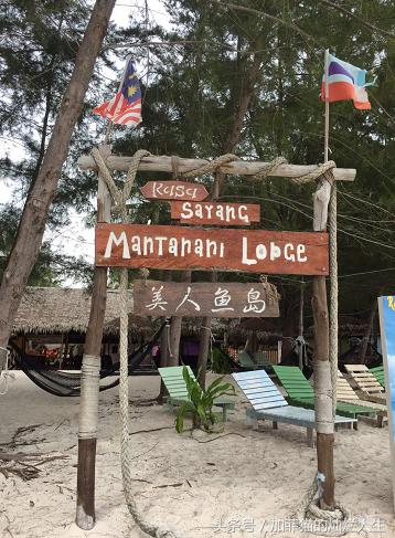 马来西亚亚庇到美人鱼岛,亚庇美人鱼岛游记