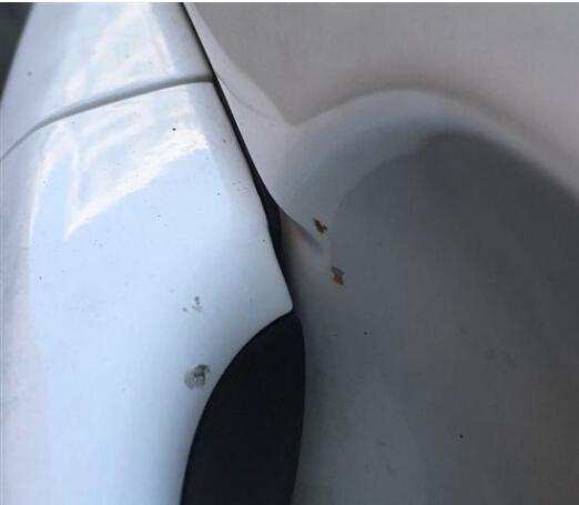 大迈x5都有哪些毛病,开一年的车出现问题怎么办