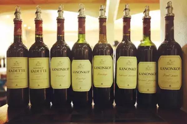 为什么选择去南非留学,为什么要去南非旅行