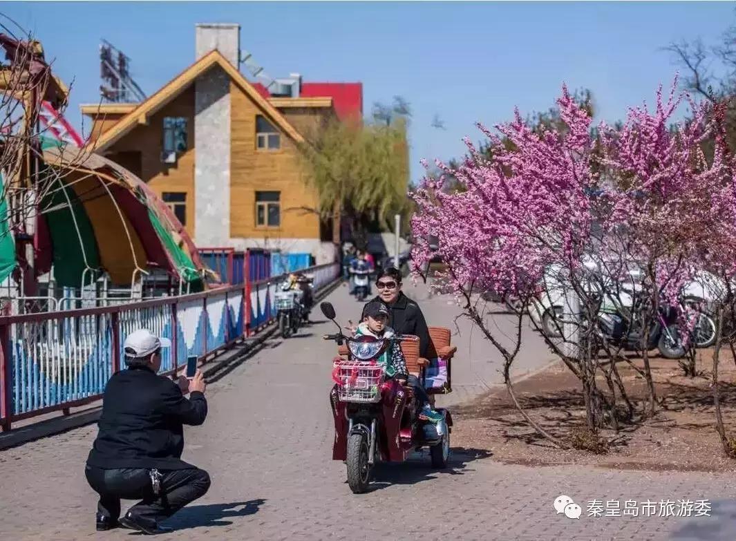 给所有秦皇岛人,这里有一份春天请你查收!