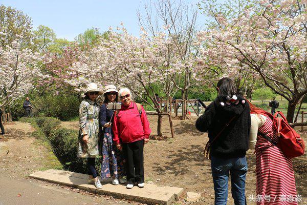 游无锡美景,游无锡太湖美景