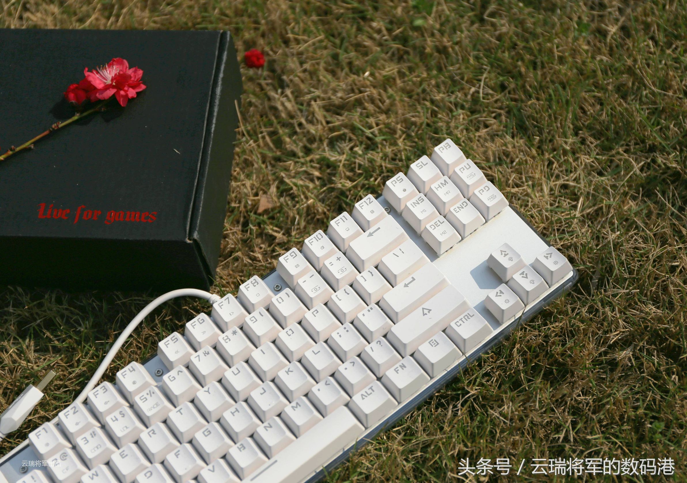 鎽╄惫閿洏k87s,鎽╄惫k87