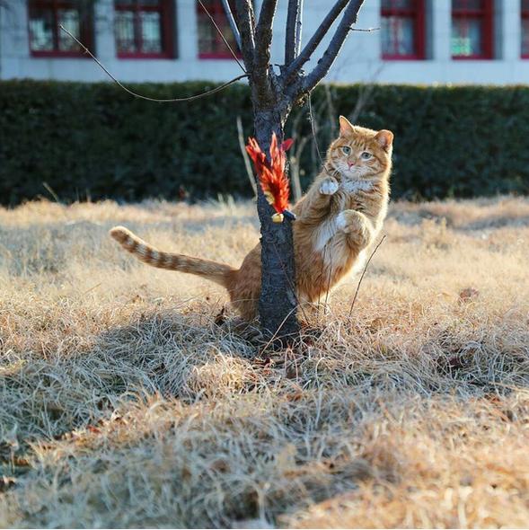 春季手机摄影大赛,摄影有哪些大赛