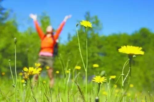 清明节气古诗词,今日清明时间
