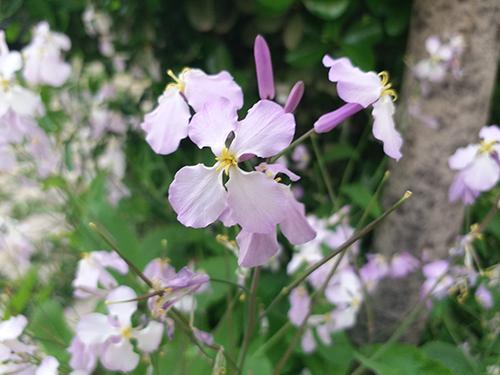 三星c5pro上手评测,三星c5手机测评