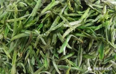 南岳云雾茶属于什么茶,南岳云雾茶是特产吗