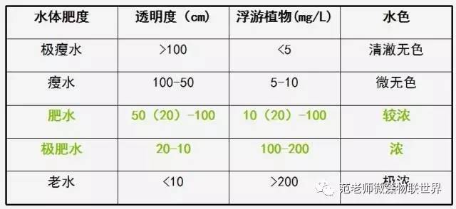 池塘微藻处理,微藻观察