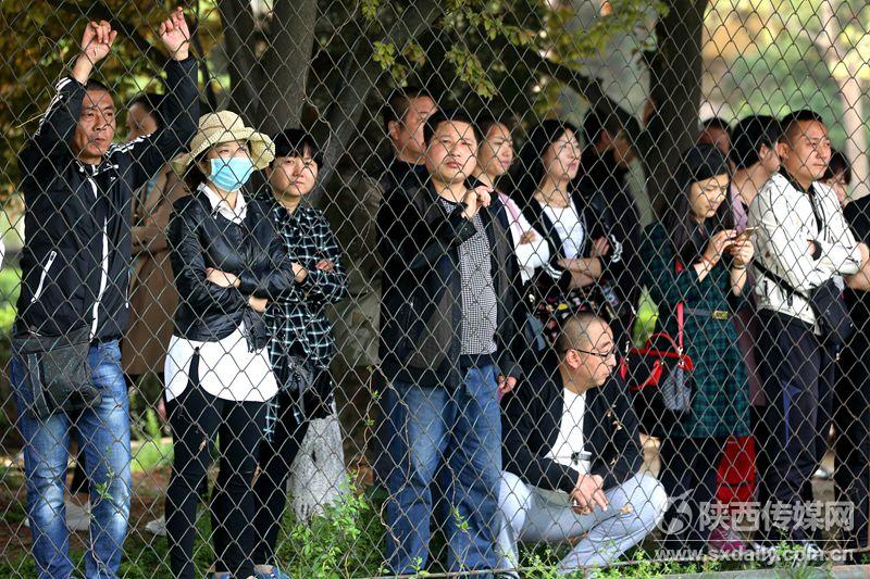 陕西青少年足球竞训队,2021年陕西省青少年足球选拔