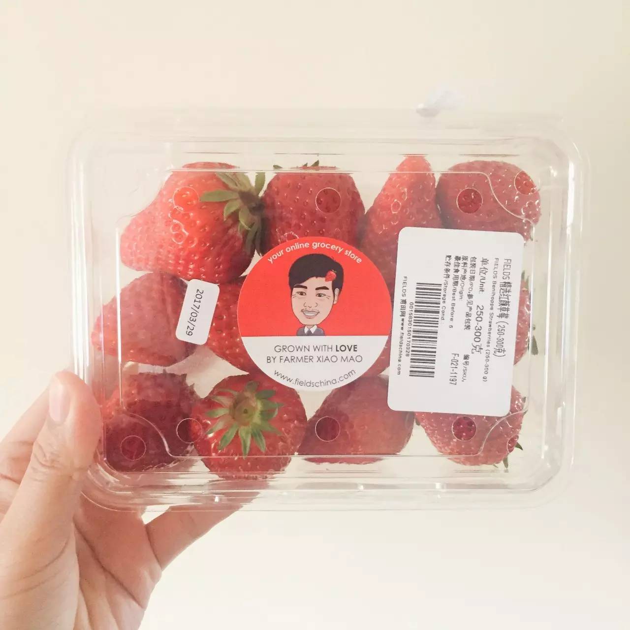 实用不贵的小物,好用小物推荐居家