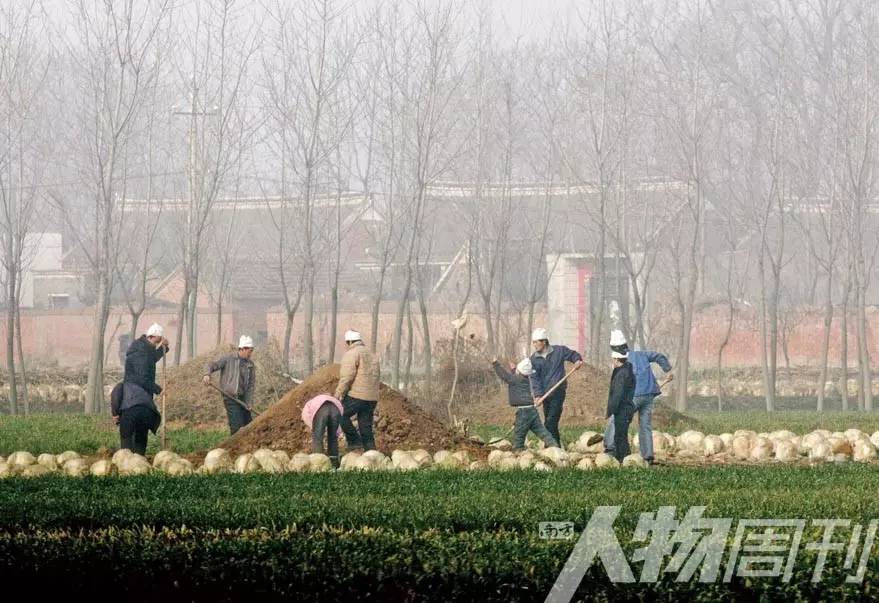 艾滋病村背后的故事,艾滋病村背后的真实故事