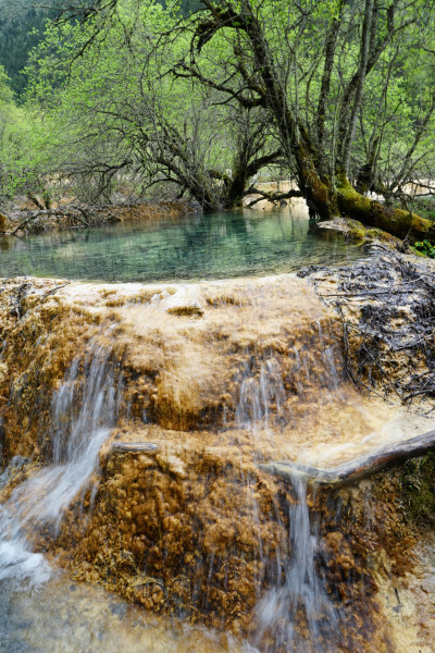 九寨黄龙成都自由行6日,成都九寨沟黄龙五天四晚自由行