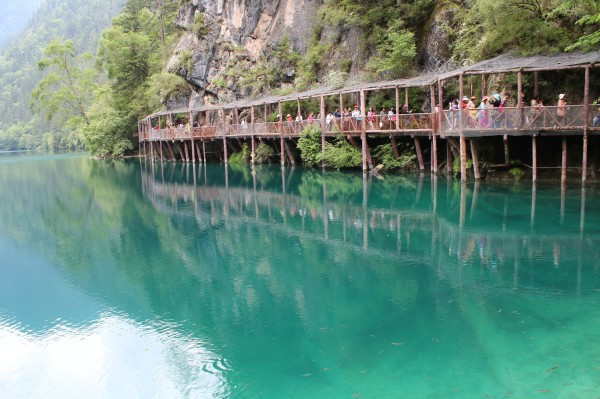 若尔盖红原九寨沟六日游,九寨沟黄龙若尔盖大草原自助游