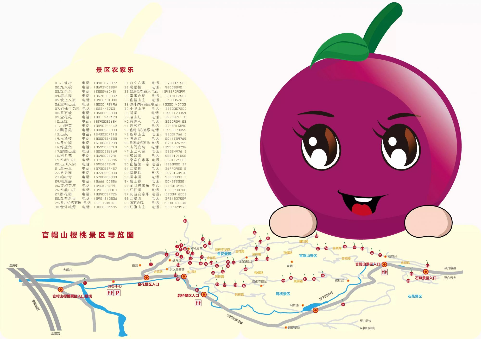 蒲江樱桃节什么时候,樱桃红啦