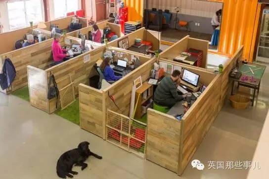 一家可以带狗上班的公司，感觉他们那的地位..人没狗高..