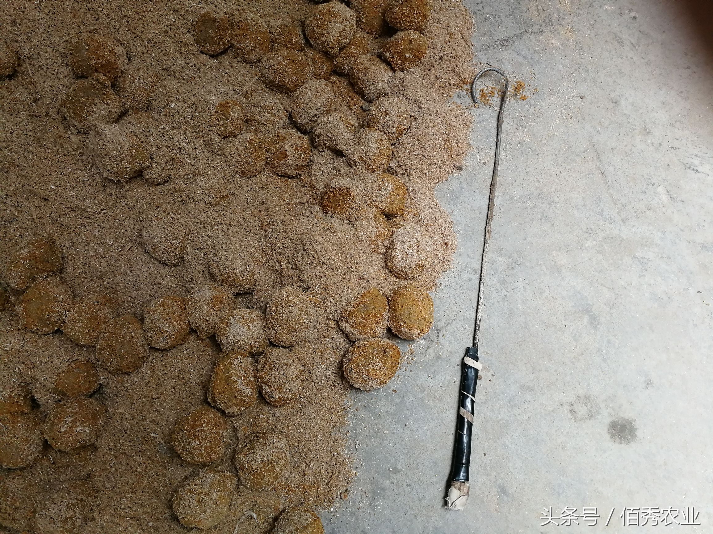 农民自制变蛋，一枚赚5分钱，你信吗？