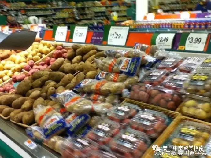 托福100和雅思75的区别,托福100和雅思7哪个难