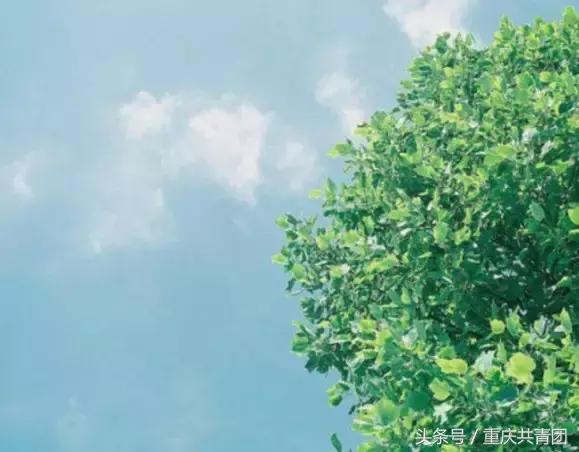 人间最美是初春,人间最美的不过是春天