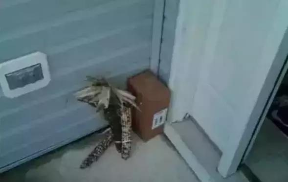 美国快递服务有多差,美国快递反映了美国人的什么